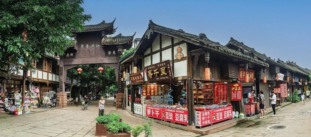 失忆的流浪者